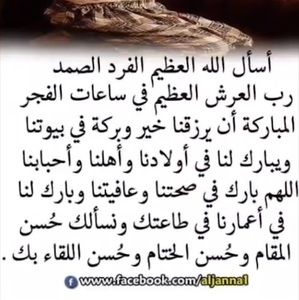 Meet your Posher, Elham